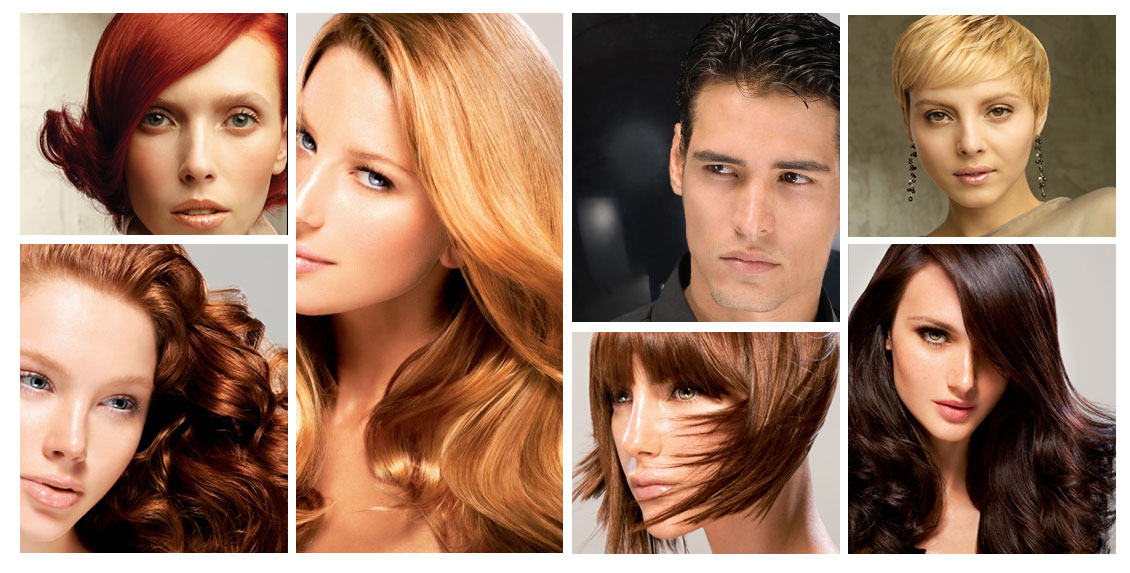salon arcadia Gibsonia, hair, nails, & lashes hair salon home page